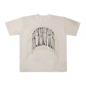 Sp5der Logo T Shirt Vita | 3208QJPGV